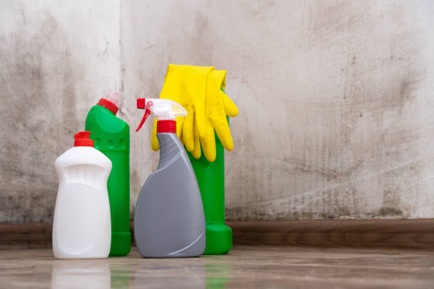 Best Mold Prevention Services  in West Puente Valley, CA